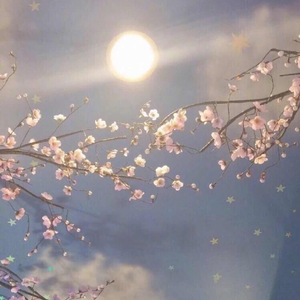 俄罗斯大屁股少妇和欧美少妇BB和肛门干
